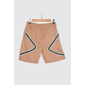 Trendyol Beige Men's Regular Fit Shorts & Bermuda vyobraziť
