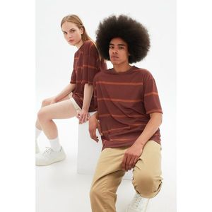 Trendyol Brown Unisex Oversize Striped T-Shirt vyobraziť