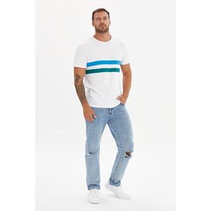 Trendyol White Men's Regular Fit Colorful Striped Detailed Short Sleeve T-Shirt vyobraziť