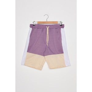 Trendyol Men's Purple Regular Shorts & Bermuda vyobraziť