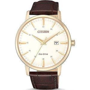 Citizen Basic Eco-Drive BM7463-12A vyobraziť