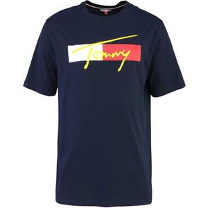 Tommy Hilfiger Pánske tričko Regular Fit UM0UM02115-DW5 S vyobraziť