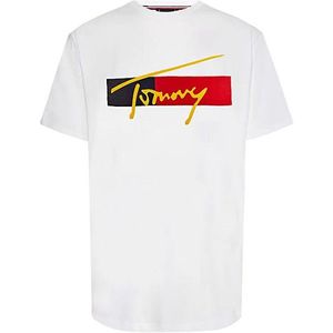 Tommy Hilfiger Pánske tričko Regular Fit UM0UM02115-YBR S vyobraziť