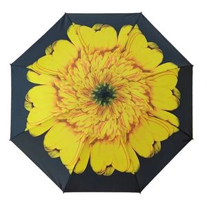 Blooming Brollies Dámsky skladací dáždnik EDRFFSF vyobraziť
