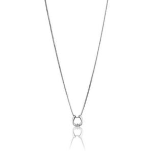 Victoria Walls Elegantný oceľový náhrdelník pre šťastie VN1092S vyobraziť