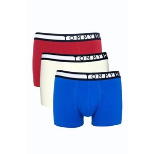 3PACK men's boxers Tommy Hilfiger multicolored (UM0UM02202 0W8) vyobraziť