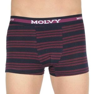 Men's boxers Molvy multicolored (MP-1032-BEU) vyobraziť