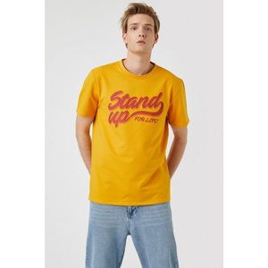 Koton Men's Adult Stone T-Shirt vyobraziť