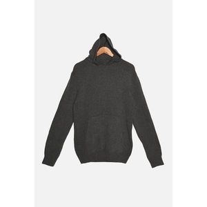 Trendyol Gray Men's Hooded Regular Fit Knitwear Sweater vyobraziť