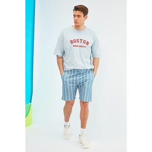 Trendyol Blue Men's Shorts & Bermuda vyobraziť