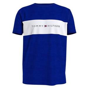 Men's T-shirt Tommy Hilfiger blue (UM0UM01170 C86) vyobraziť