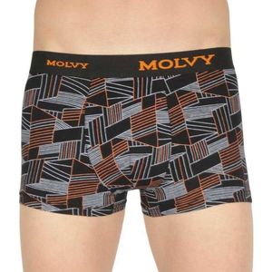 Men's multicolored boxers Molvy (MP-1026-BEU) vyobraziť