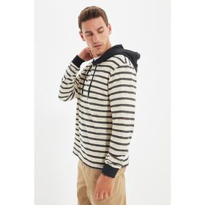 Trendyol Ecru Men's Regular Fit Hooded Long Sleeve Striped Sweatshirt vyobraziť