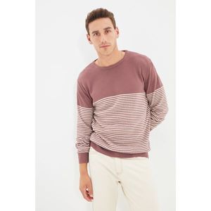 Trendyol Dried Rose Men's Slim Fit Crew Neck Striped Sweater vyobraziť