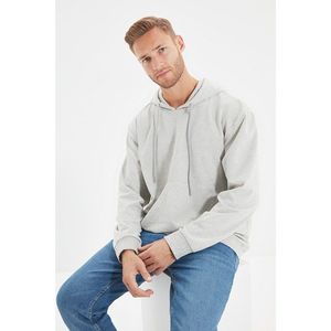 Trendyol Gray Men's Regular Fit Long Sleeve Hooded Printed Sweatshirt vyobraziť