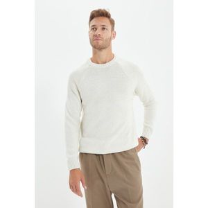 Trendyol Ecru Men's Crew Neck Slim Fit Knitwear Sweater vyobraziť