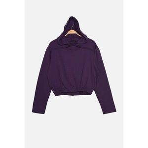 Trendyol Purple Hooded and Raised Basic Knitted Sweatshirt vyobraziť