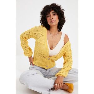 Trendyol Yellow Openwork Jewel Button Detailed Knitwear Cardigan vyobraziť