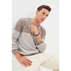 Trendyol Mink Men's Slim Fit Crew Neck Striped Sweater vyobraziť