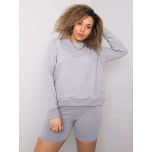 Gray plus size sweatshirt without hood vyobraziť