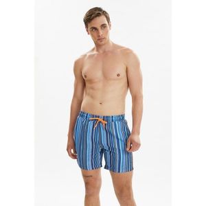 Trendyol Multicolor Men's Striped Zipper Pocket Swim Shorts vyobraziť