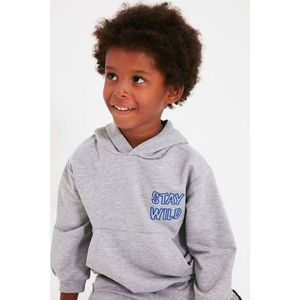 Trendyol Gray Embroidered Basic Hoodie Boy Knitted Sweatshirt vyobraziť