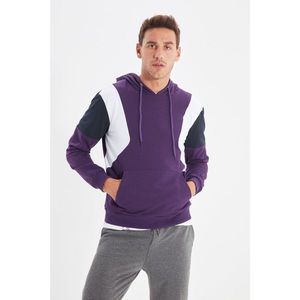 Trendyol Men's Purple Regular Fit Long Sleeve Hooded Paneled Sweatshirt vyobraziť