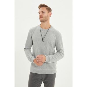 Trendyol Gray Men's Regular Fit Long Sleeve Crew Neck Sweatshirt vyobraziť