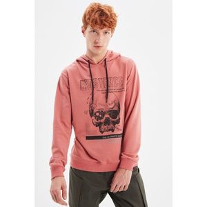 Trendyol Dried Rose Men Regular Fit Hoodie Sweatshirt vyobraziť