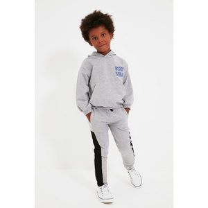 Trendyol Gray Stripe Detailed Boy Knitted Sweatpants vyobraziť