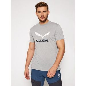 Salewa Tričko Solidlogo Dry 27018 Sivá Regular Fit vyobraziť