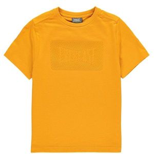 Everlast Graphic Logo T-Shirt Junior Boys vyobraziť