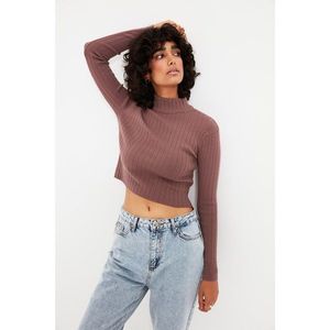 Trendyol Mink Crop Stand Collar Knitwear Sweater vyobraziť