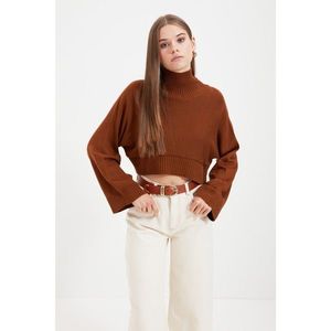 Trendyol Brown Turtleneck Crop Knitwear Sweater vyobraziť