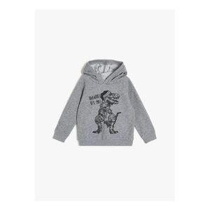 Koton Boys' Gray Dinosaur Printed Sweatshirt vyobraziť
