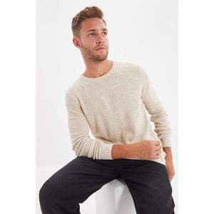 Trendyol Stone Men's Crew Collar Slim Fit Knitwear Sweater vyobraziť