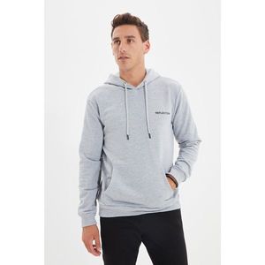 Trendyol Gray Men's Regular Fit Sweatshirt vyobraziť