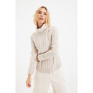Trendyol Stone Turtleneck Knitwear Sweater vyobraziť