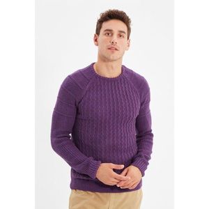 Trendyol Purple Men's Textured Raglan Sleeve Knitwear Sweater vyobraziť