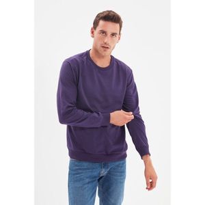 Trendyol Purple Men Regular Fit Crew Neck Long Sleeved Sweatshirt vyobraziť