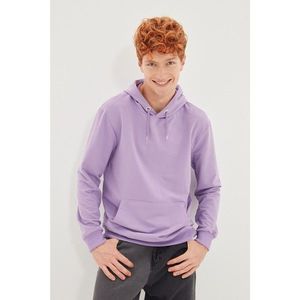 Trendyol Lilac Men Regular Fit Crew Neck Long Sleeve Printed Sweatshirt vyobraziť