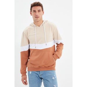 Trendyol Beige Men's Hoodie Kangaroo New Sweatshirt with Pocket vyobraziť