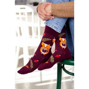 Hnedé vzorované ponožky Líškopauza vyobraziť
