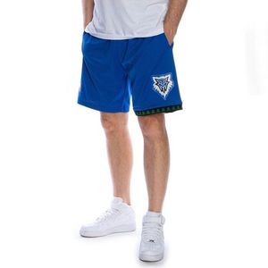 Mitchell & Ness shorts Minnesota Timberwolves royal Swingman Shorts - L vyobraziť