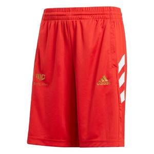 ADIDAS PERFORMANCE Športové nohavice 'Sala' svetločervená / zlatá / biela vyobraziť