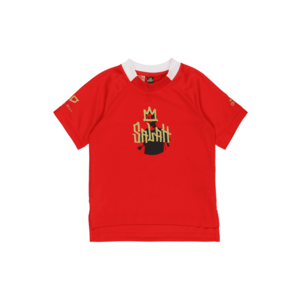 ADIDAS PERFORMANCE Funkčné tričko červená / zlatá / čierna vyobraziť