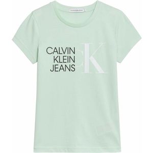 Calvin Klein Jeans Tričko mätová / čierna / biela vyobraziť