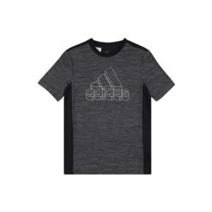 ADIDAS PERFORMANCE Funkčné tričko čierna / kamenná / biela vyobraziť