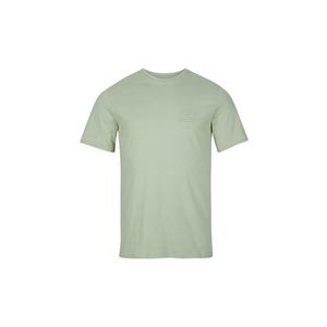 O'NEILL Tričko 'Veggie Type' pastelovo zelená vyobraziť