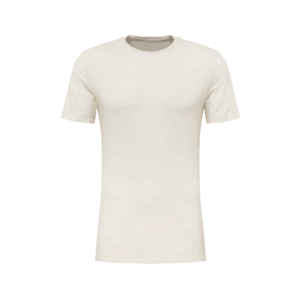 ICEBREAKER Spodné tričko 'Anatomica' biela vyobraziť